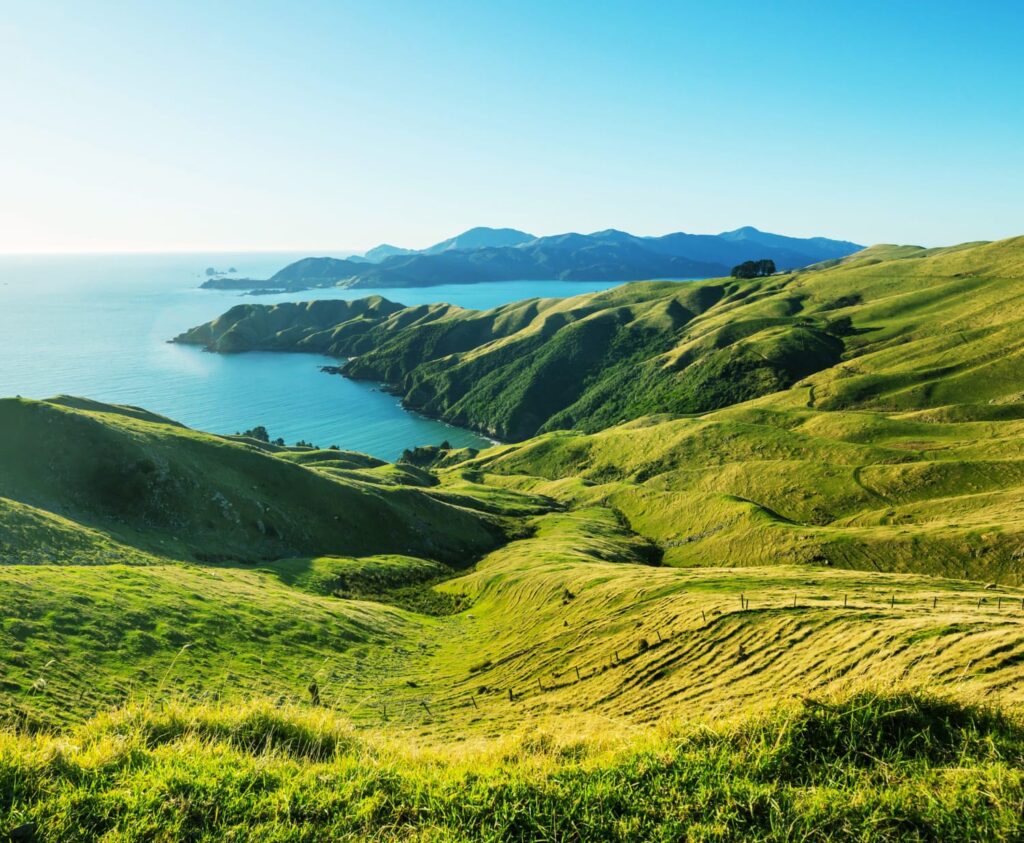 Amelie – Reflektion meiner Zeit in Neuseeland 2024